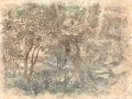 Fototapeta Elav Wallcraft 605 31 2201