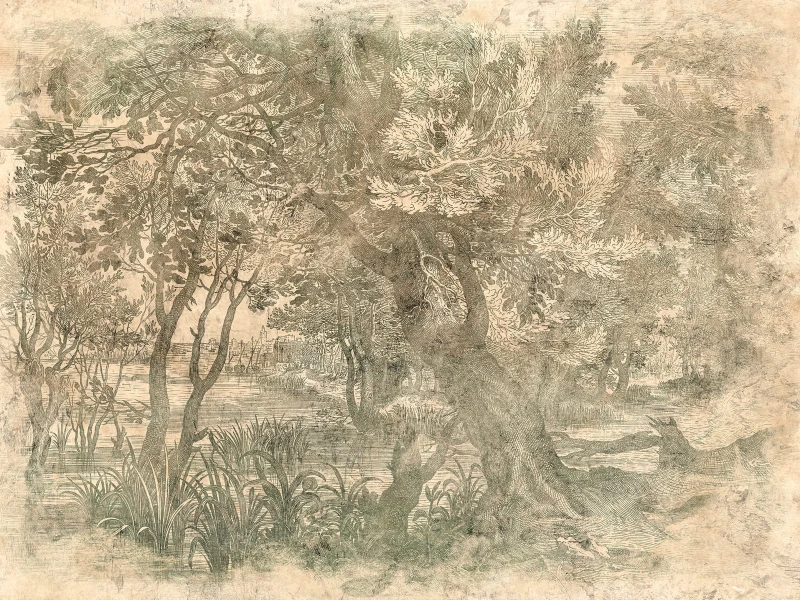 Fototapeta Elav