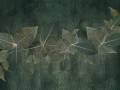 Fototapeta Blara Wallcraft 615 32 2201