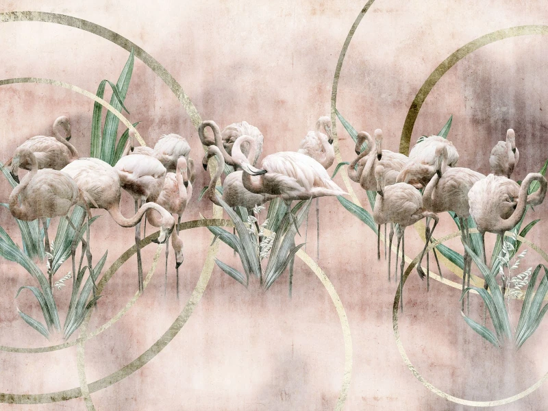 Fototapeta Flamingo