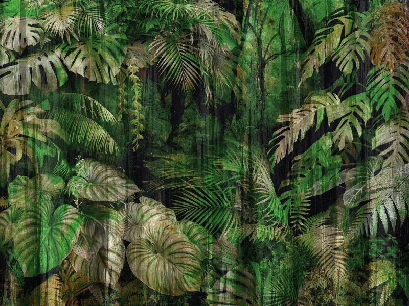Fototapeta Jungle