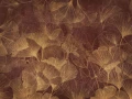 Fototapeta Ignis Wallcraft 950 33 2402