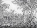 Fototapeta Foresta Wallcraft 965 32 2402