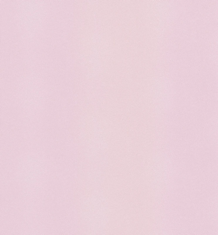 51358.jpg