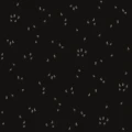 48223.jpg