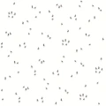 48224.jpg