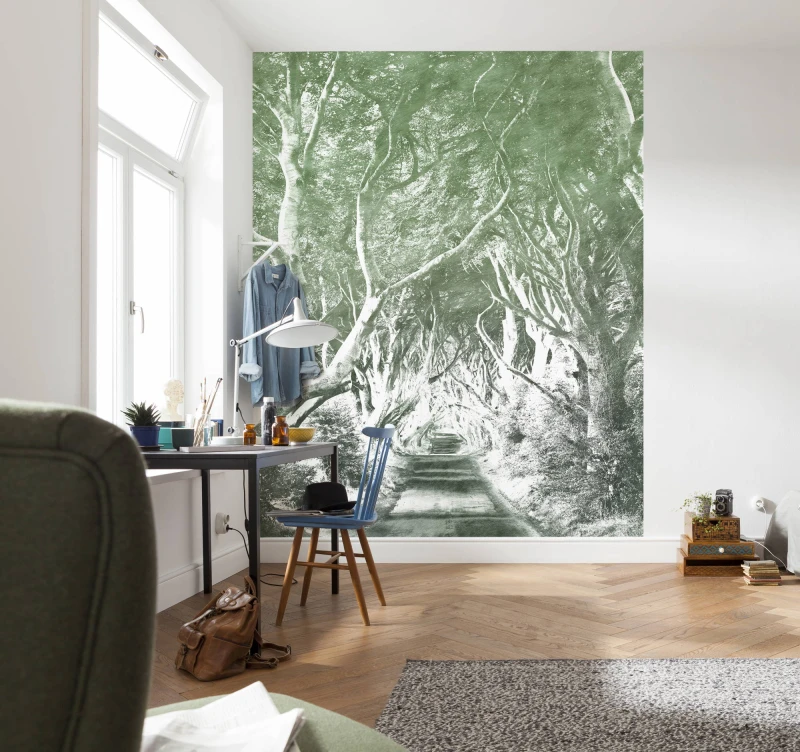 Fototapeta tajemniczy las w odcieniach szarości