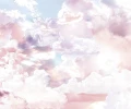 44b77cb1164694be4d6adf1caf44b0dd