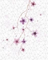 ac7ea16e4455728027a2903c2047132a