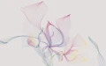 a2384402894209af8764b4b670734341