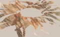 ed13c944166f0065e25ab69d51418297