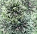1e3fbfd58407e1b56772b1e19f7a0ea7