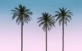 19212cd0bdaaee9e4dafd4cab5e65698