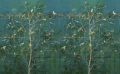 6b971bc693cfec60e7ecaed51cc9aa0e