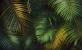 23aea3aadebb9d3dc54f5c782ca3d3db