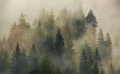 c6c853eab9e59d12c9ebf53332804b60