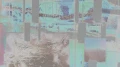 92e43bccf2728d0872fa81853cc5c0ad