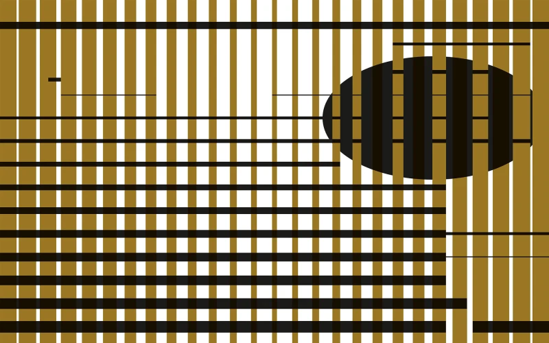 4df2da81e686cff4cd698f541fa56553