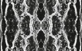103488a730099ded5952e37a641149ba