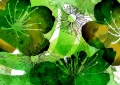 fb48ac796b78a3856d3556dd7cf2a420
