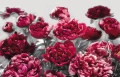 b98e2d2eea7a42331b0db5d07e1079eb