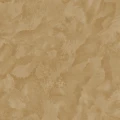 2cef9f86411d42c6d996a3bc6b4ac50b