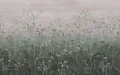 Fototapeta Clarissa Hulse Tania's Garden Heather 123639