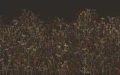 Fototapeta Clarissa Hulse Tania's Garden Cocoa 123648