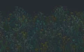 Fototapeta Clarissa Hulse Tania's Garden Midnight 123657