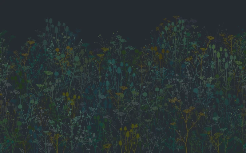 Fototapeta Clarissa Hulse Tania's Garden Midnight 123657