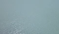 502032_1.jpg