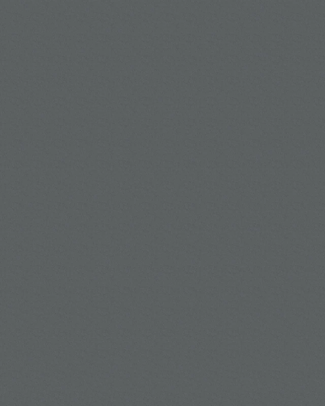 54169.jpg