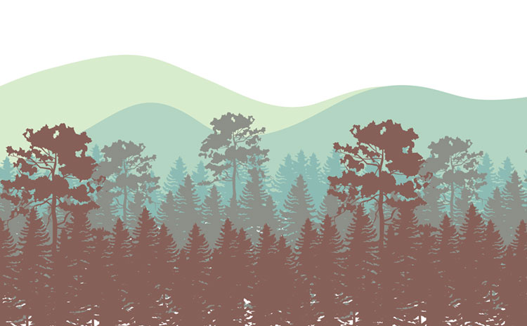 Fototapeta dla dzieci Natura