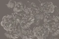 Fototapeta Magiczne piwonie