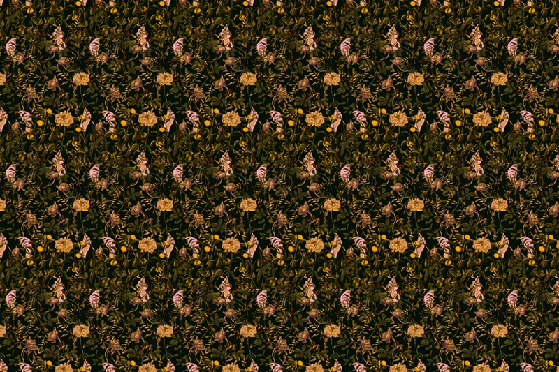 Fototapeta Cytrusowy gaj