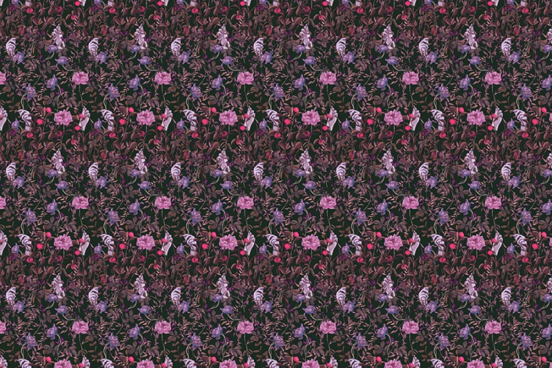 Fototapeta Cytrusowy gaj