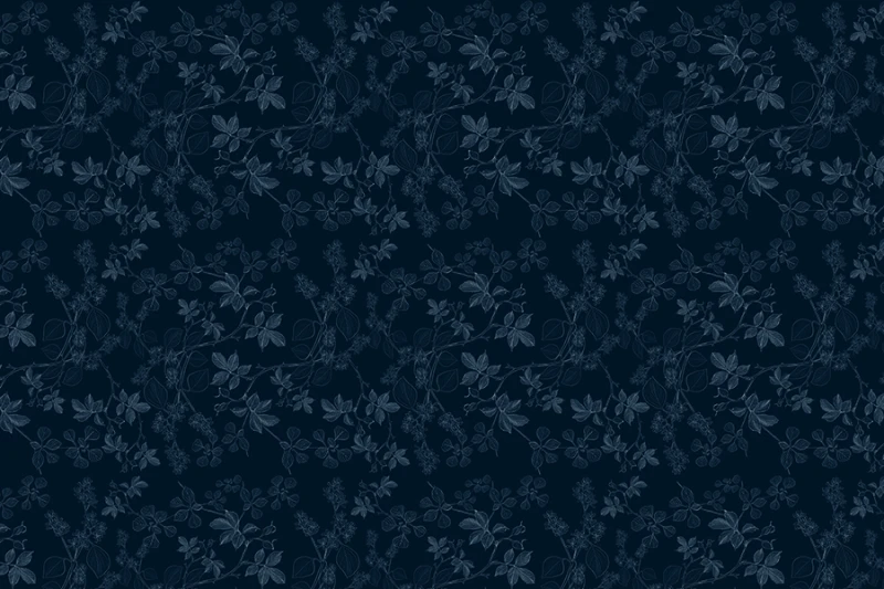 Fototapeta Leszczyna