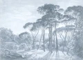 Fototapeta krajobraz polana i drzewa
