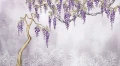 Fototapeta kwitnąca wisteria