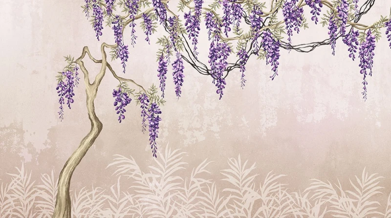 Fototapeta kwitnąca wisteria