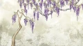 Fototapeta kwitnąca wisteria