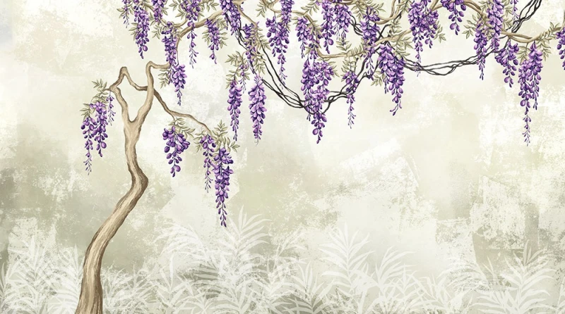Fototapeta kwitnąca wisteria