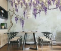Fototapeta kwitnąca wisteria