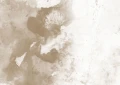 Fototapeta abstrakcyjna w odcieniach beżu