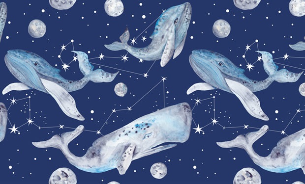Fototapeta gwiezdny ocean