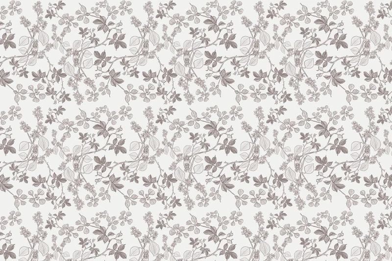 Fototapeta Leszczyna