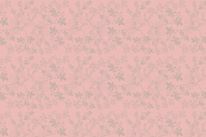 Fototapeta Leszczyna