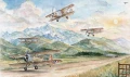 Fototapeta Wallart Aviator