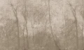 Fototapeta Wallart Foogy Beige