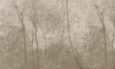 Fototapeta Las w odcieniach beżu